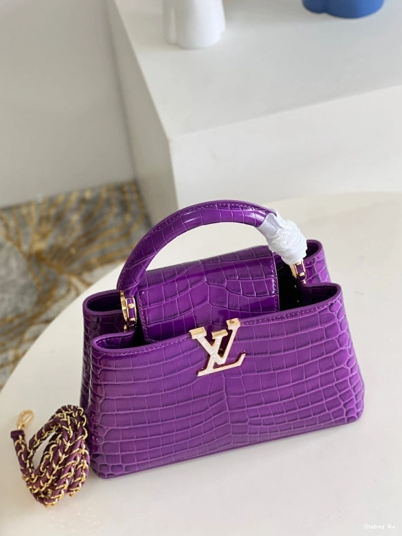 BB VUITTON CAPUCINES LOUIS 0728
